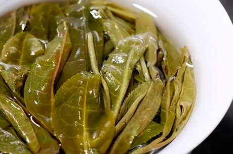 了解古树茶的口感特点