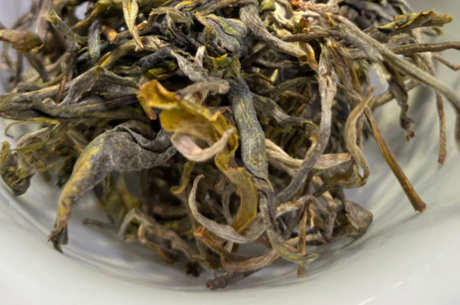 曼松是生茶还是熟茶