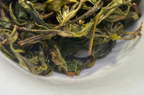曼松是生茶还是熟茶