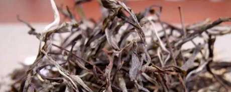 曼松古树茶的产地在哪里？