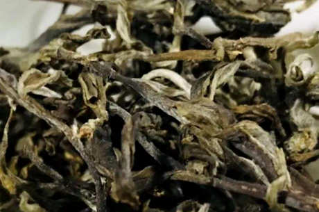 易武茶区是曼松吗？