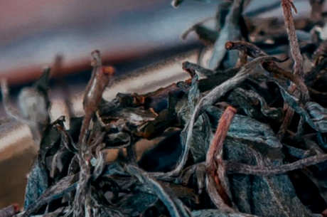 易武茶区是曼松吗？