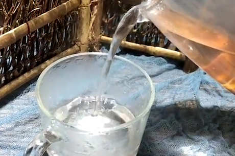 在水中饮用石斛的方法