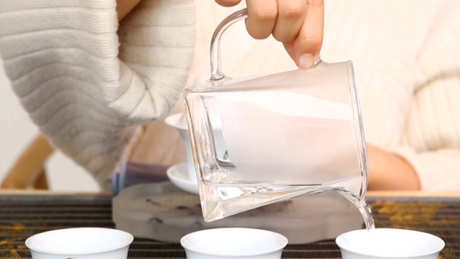 普洱茶怎么泡？