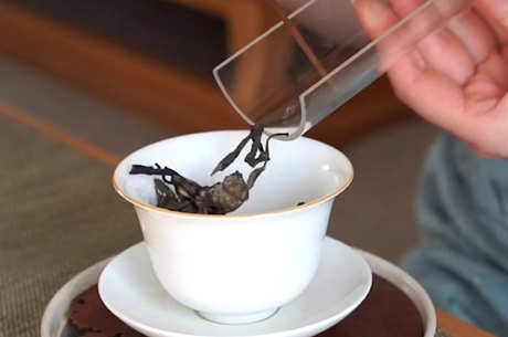 普洱茶怎么泡？