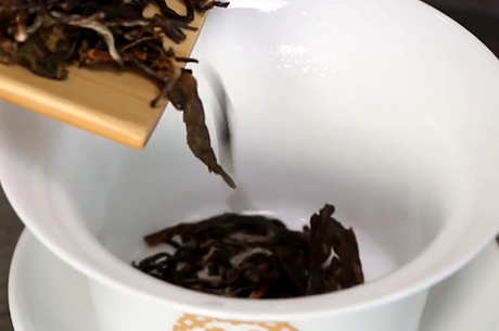 泡普洱茶的方法