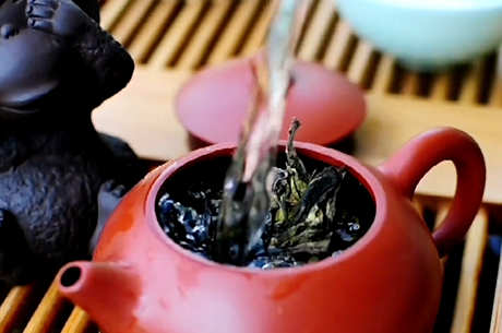 泡普洱茶的方法