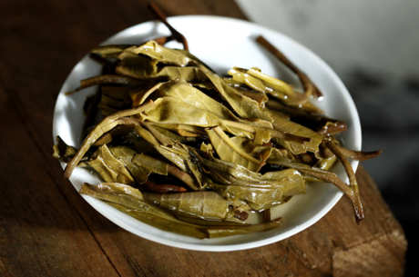 南糯山乔木茶的特点