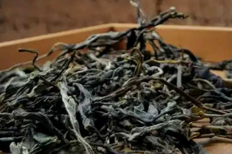 曼松属于哪个茶区？