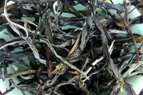南糯山普洱茶的特点