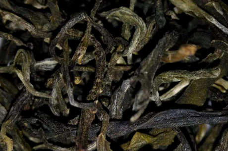 南糯山有什么茶？