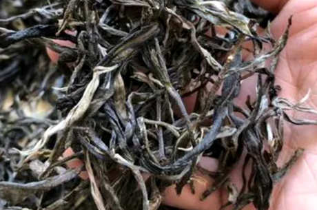 老海棠茶的特点