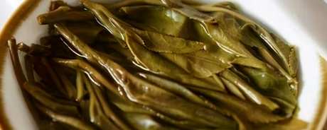 南糯山古树茶的特点