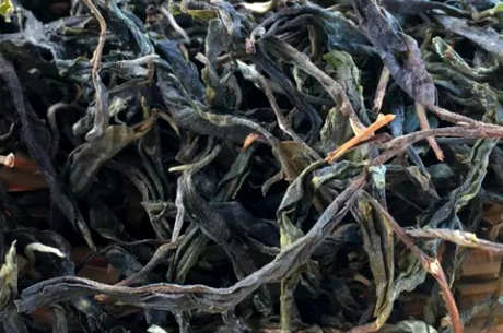 南糯山古树茶的特点