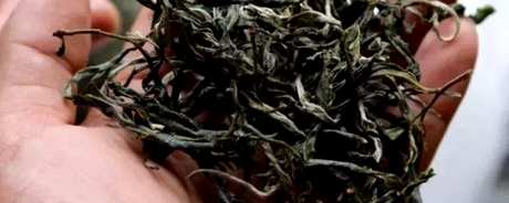 昔归茶的特点是什么？