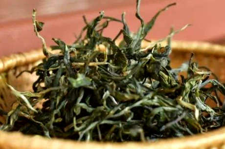 临沧茶区茶的特点是什么？