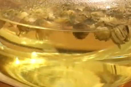 五类人不能喝菊花茶