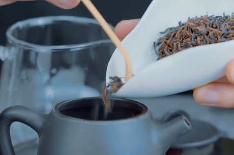 冲泡普洱茶的步骤