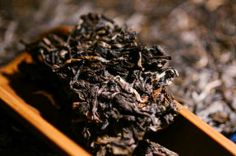 磨烈古树茶属于什么茶？