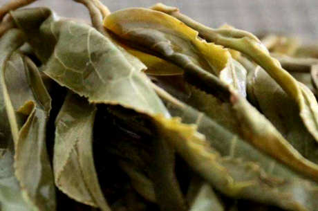 黄家寨茶的特点