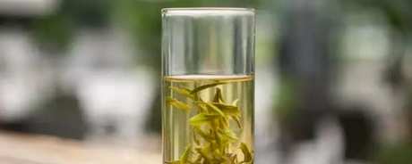 早春茶的特点