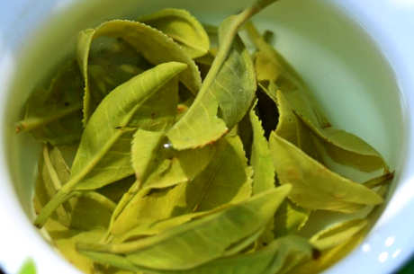 早春茶的特点