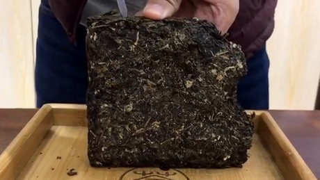 茶砖是什么茶？