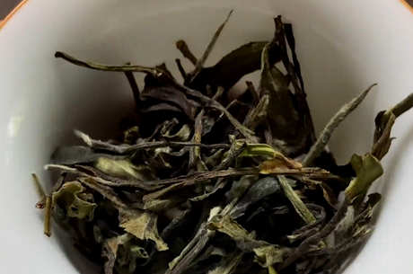 福鼎白茶属于绿茶还是红茶