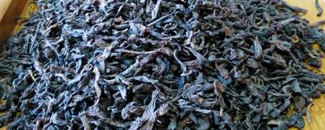普洱茶生茶和熟茶有什么区别？