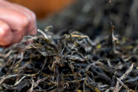 普洱茶生茶和熟茶有什么区别？