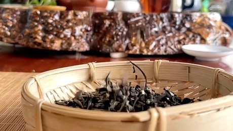 什么茶是白茶？