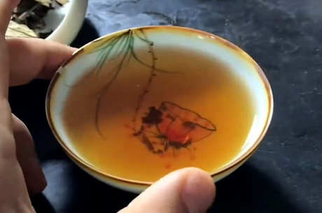 什么茶是白茶？