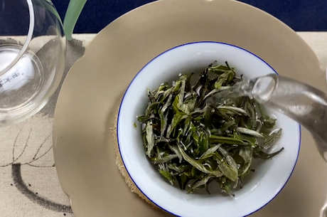 白牡丹茶属于什么茶？