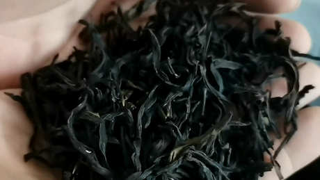 蜜兰香属于什么茶？