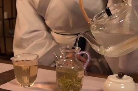黄茶有哪些品种？