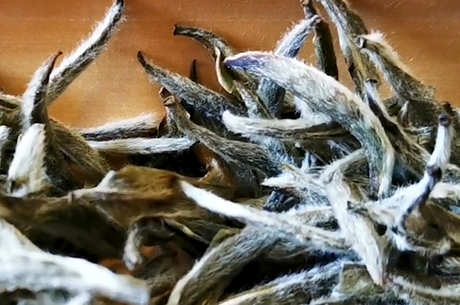 白茶属于绿茶吗？