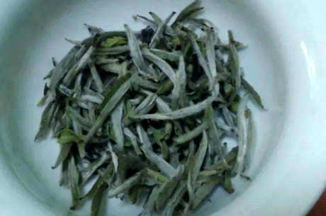 九龙大白茶的特点