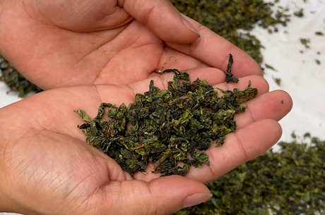 喝茶的十大好处