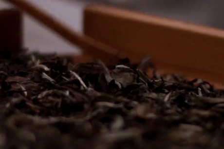 白牡丹茶不适合谁？