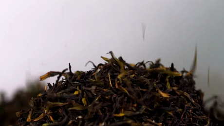 什么茶属于单杉茶？