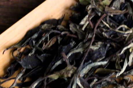 福鼎白茶分类等级