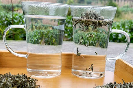 什么茶属于蒙顶甘露？
