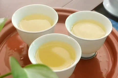 鸭屎香单杉茶属于什么茶？