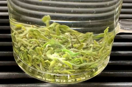 茶果间作为种植方式