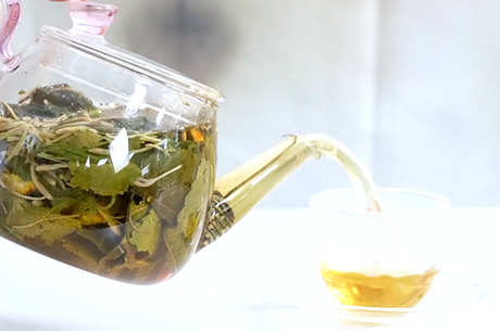 谁不适合喝桑叶茶？