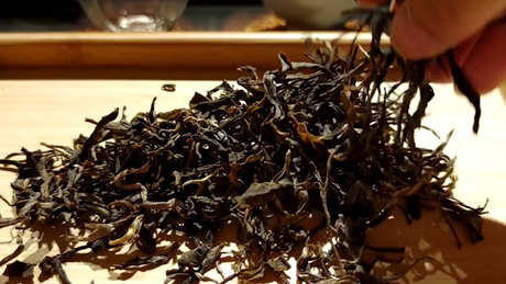 古树茶和普洱茶的区别