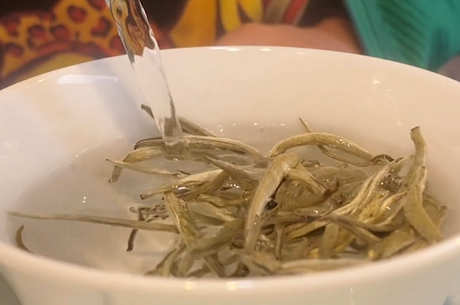 什么茶属于白毫银针？