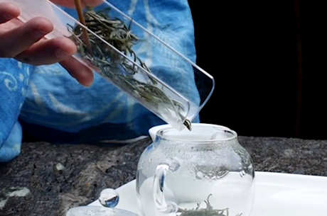 庐山云雾茶属于什么茶？