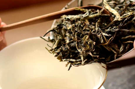 忙肺茶特点