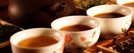 古树茶的产地在哪里？